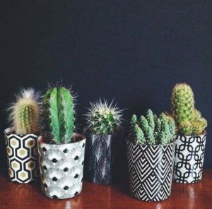 Image Credit: newgardeningideas